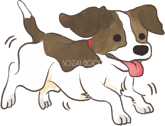ビーグル子犬 走る かわいい犬の無料イラスト 素材good