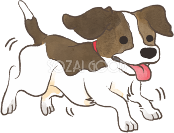 ビーグル子犬(走る)かわいい犬の無料イラスト70332