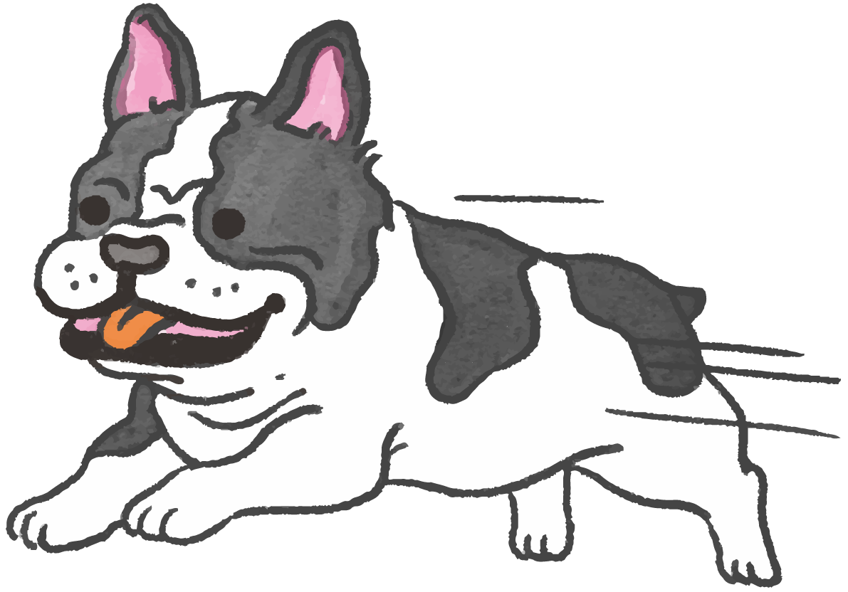 フレンチブルドック(走る)かわいい犬の無料イラスト70345に写真・文字を入れる