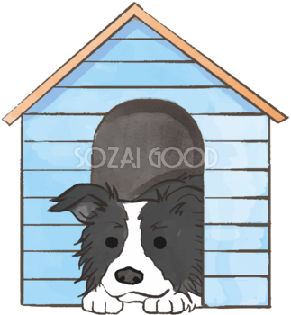 ボーダーコリー(犬小屋)かわいい犬の無料イラスト70349