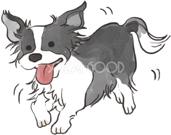 ボーダーコリー(走る)かわいい犬の無料イラスト70357