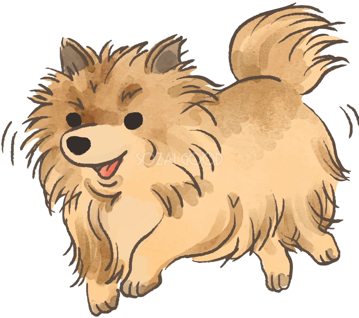 ポメラニアン(走る)かわいい犬の無料イラスト70369
