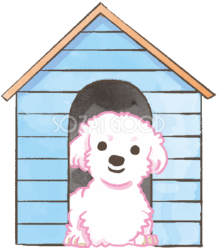 マルチーズ(犬小屋)かわいい犬の無料イラスト70377