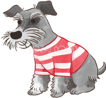 ミニチュアシュナウザー(赤い服)かわいい犬の無料イラスト70393