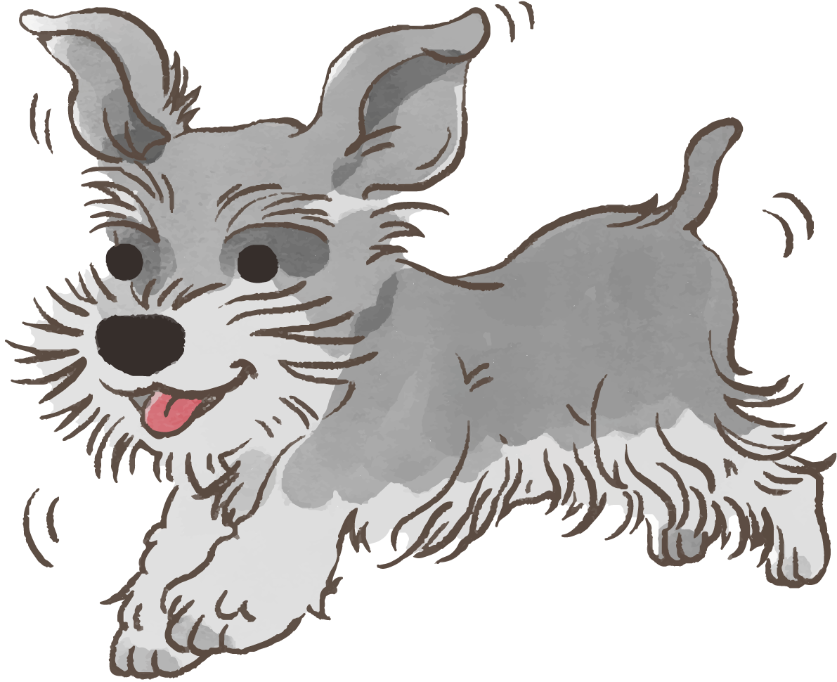 ミニチュアシュナウザー(走る)かわいい犬の無料イラスト70397に写真・文字を入れる