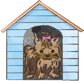 ヨークシャテリア(犬小屋)かわいい犬の無料イラスト70418
