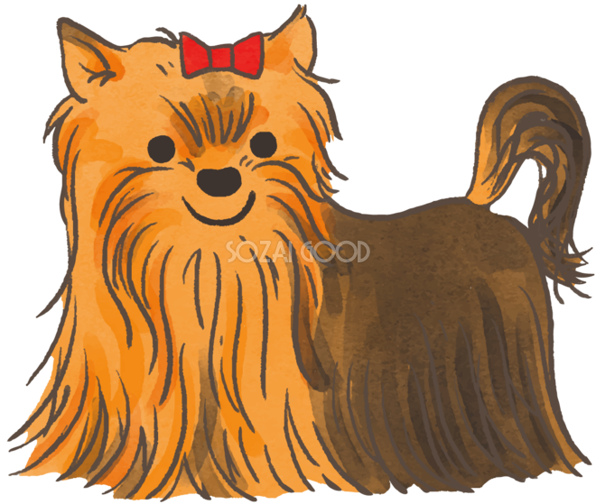ヨークシャテリア 赤いリボンの毛が長い かわいい犬の無料イラスト70426 素材good