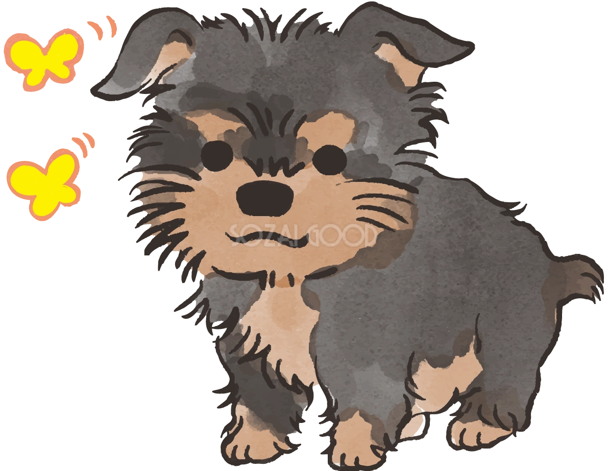 ヨークシャテリア子犬(蝶々)かわいい犬の無料イラスト70430