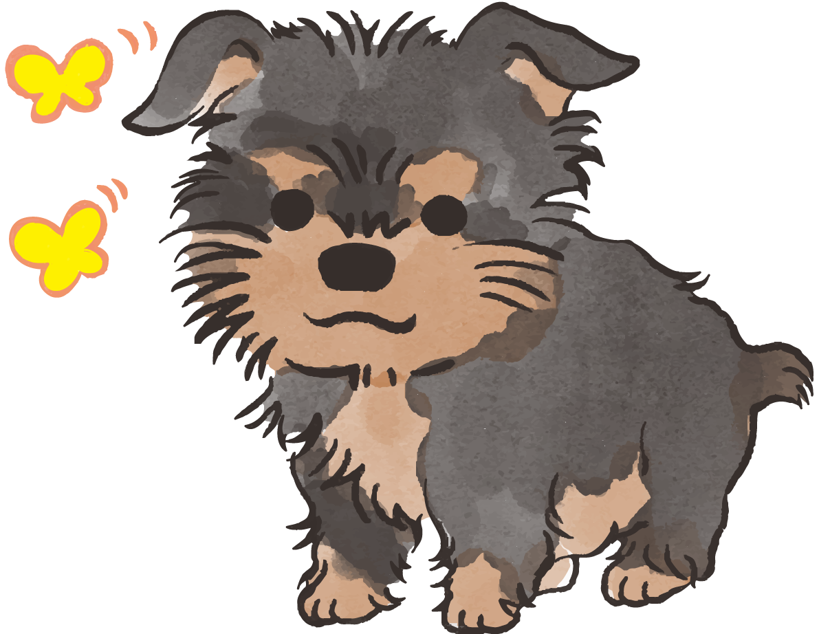 ヨークシャテリア子犬(蝶々)かわいい犬の無料イラスト70430に写真・文字を入れる