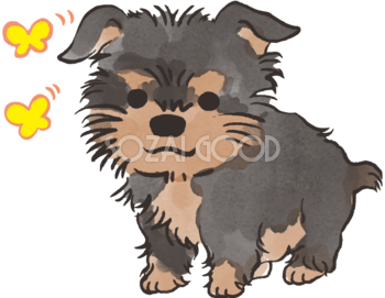 ヨークシャテリア子犬(蝶々)かわいい犬の無料イラスト70430