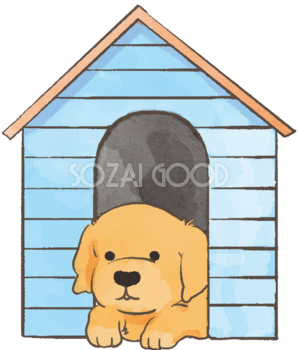 レトリバー子犬(犬小屋)かわいい犬の無料イラスト70434