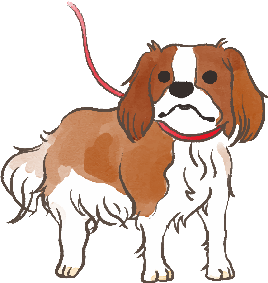 キャバリア(散歩する)かわいい犬の無料イラスト70450に写真・文字を入れる