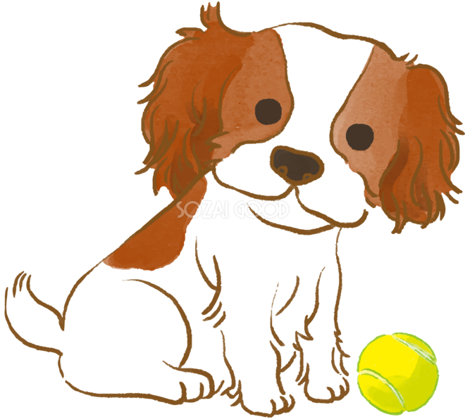 キャバリア子犬 ボールで遊ぶ かわいい犬の無料イラスト 素材good