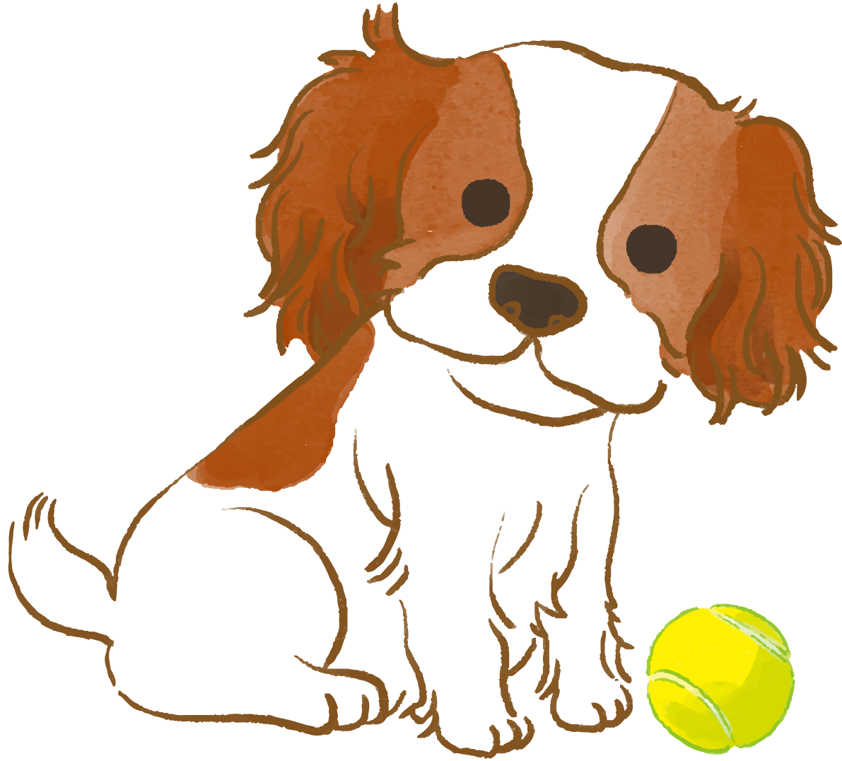 キャバリア子犬(ボールで遊ぶ)かわいい犬の無料イラスト70462に写真・文字を入れる