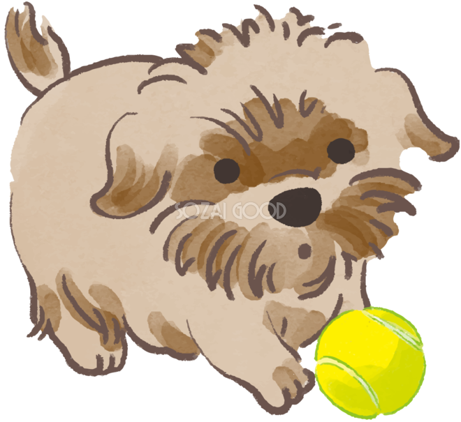 シーズー ボールで遊ぶ かわいい犬の無料イラスト 素材good