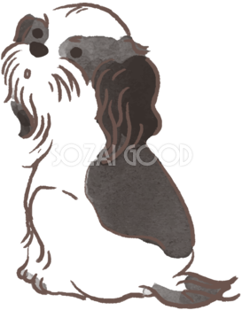 シーズー(振り向く)かわいい犬の無料イラスト70491