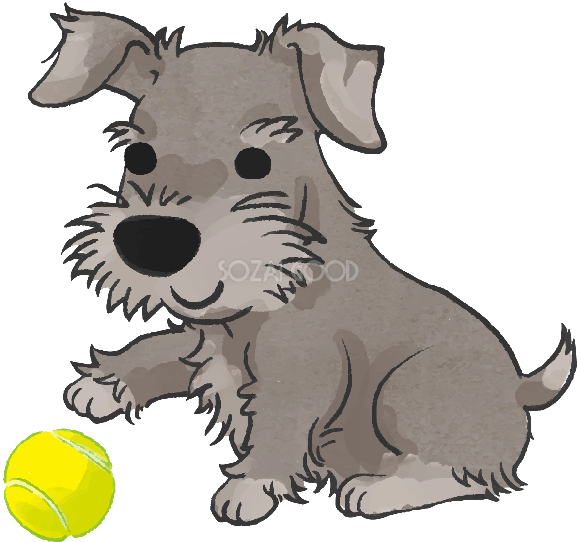 シュナウザー(ボールで遊ぶ)かわいい犬の無料イラスト70495