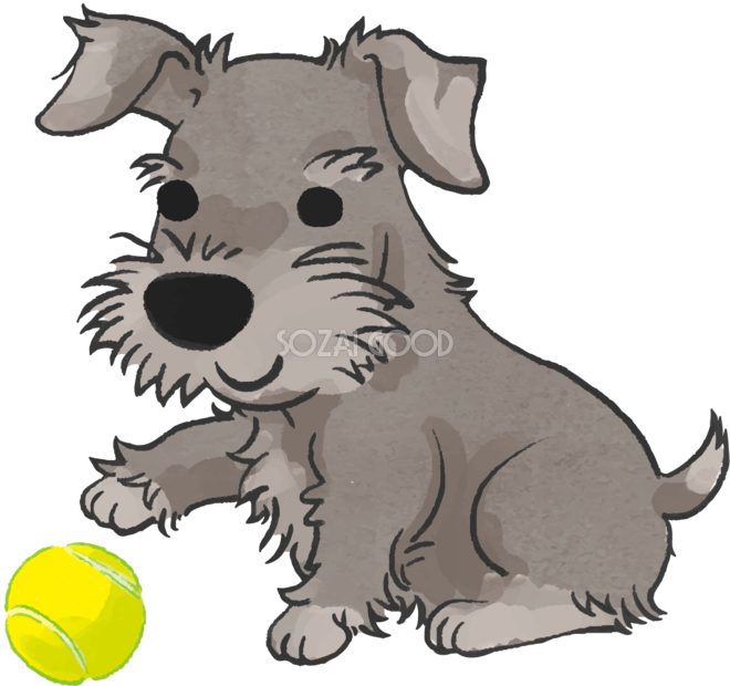 シュナウザー ボールで遊ぶ かわいい犬の無料イラスト70495 素材good