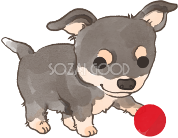 チワワ子犬(ボールで遊ぶ)かわいい犬の無料イラスト70523