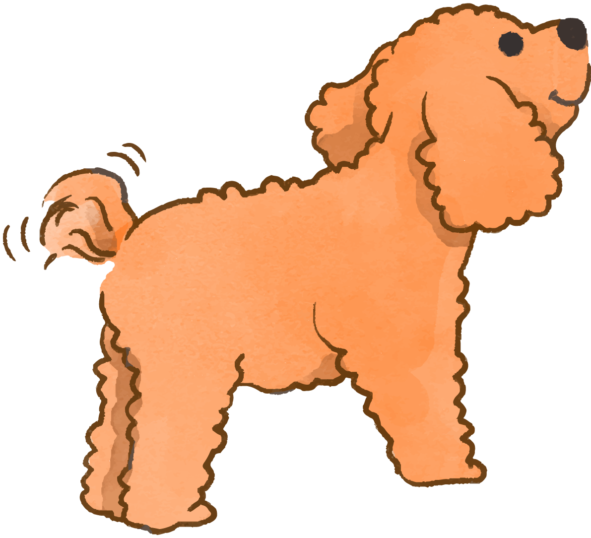 トイプードル(後ろ姿)かわいい犬の無料イラスト70527に写真・文字を入れる