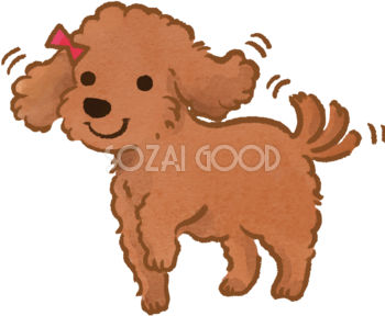 トイプードル(尻尾を振る)かわいい犬の無料イラスト70531