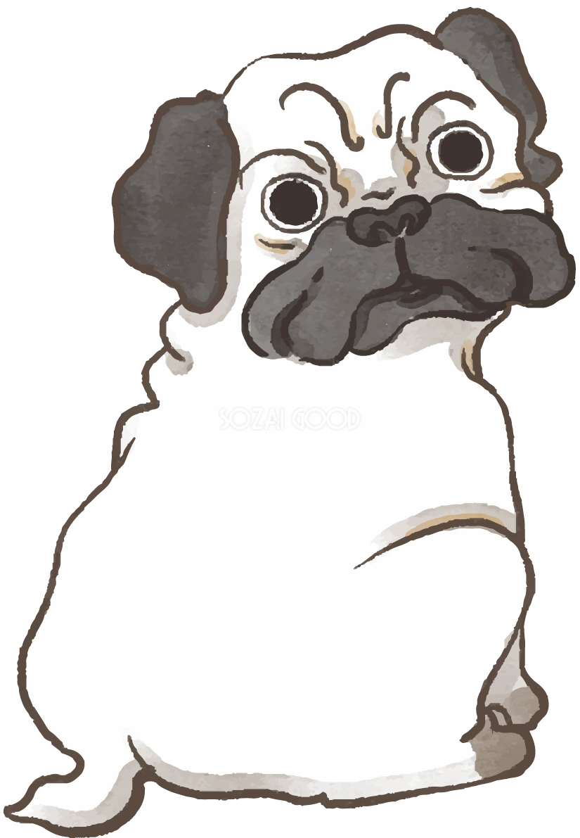 パグ(後ろ姿 )かわいい犬の無料イラスト70551