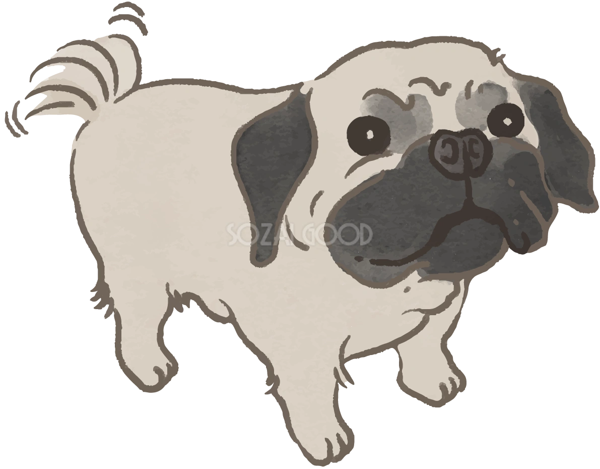 パグ(尻尾を振る)かわいい犬の無料イラスト70555