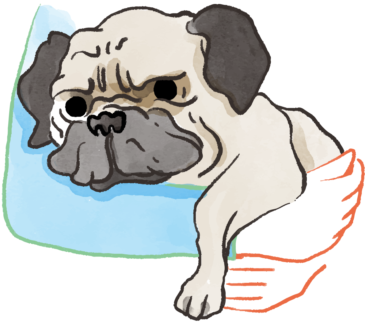 パグ(抱っこされた)かわいい犬の無料イラスト70563に写真・文字を入れる