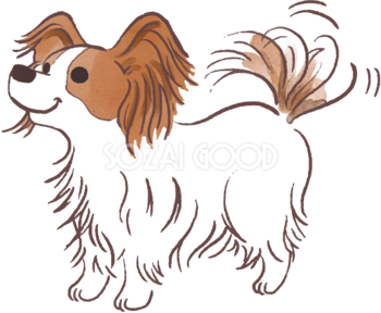 パピヨン(尻尾を振る)かわいい犬の無料イラスト70571