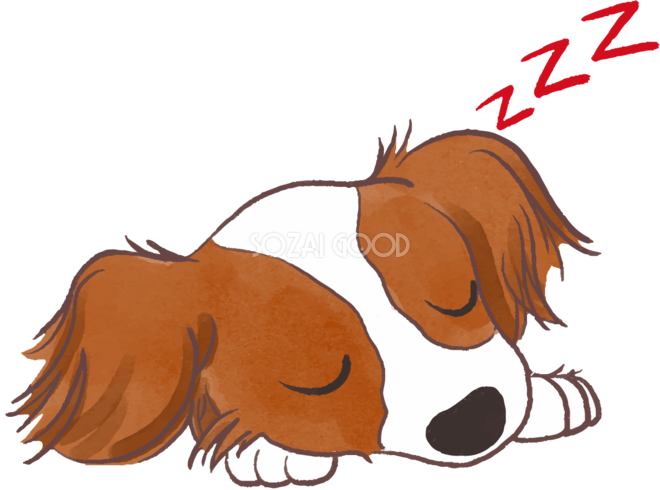 パピヨン 寝顔 かわいい犬の無料イラスト 素材good