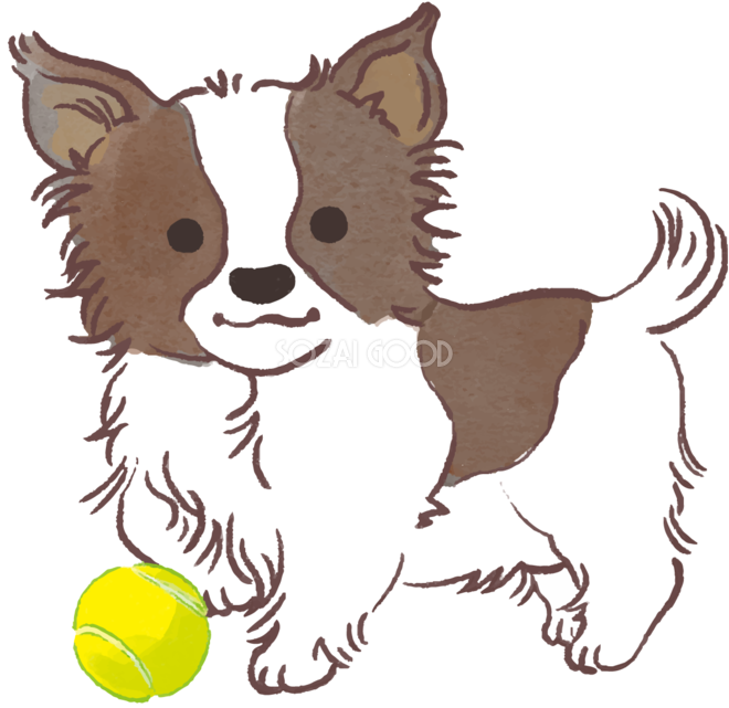 パピヨン子犬 ボールで遊ぶ かわいい犬の無料イラスト70587 素材good