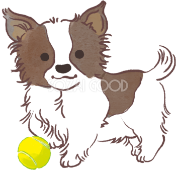 パピヨン子犬(ボールで遊ぶ)かわいい犬の無料イラスト70587