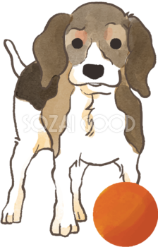 ビーグル(ボールで遊ぶ)かわいい犬の無料イラスト70591