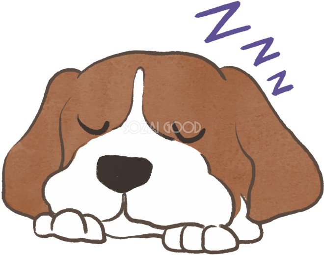 ビーグル 寝顔 かわいい犬の無料イラスト 素材good