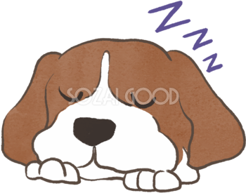 ビーグル(寝顔)かわいい犬の無料イラスト70599