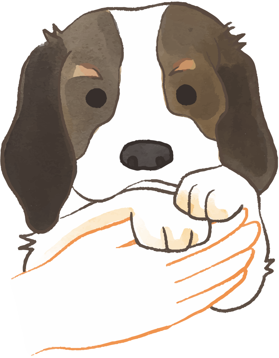 ビーグル(抱っこされた)かわいい犬の無料イラスト70607に写真・文字を入れる