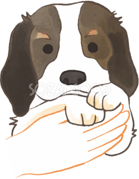 ビーグル(抱っこされた)かわいい犬の無料イラスト70607