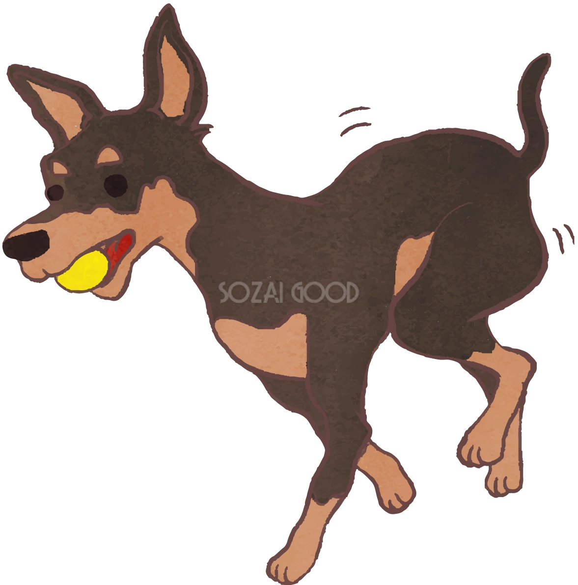 ピンシャー(ボールをくわえた)かわいい犬の無料イラスト70611