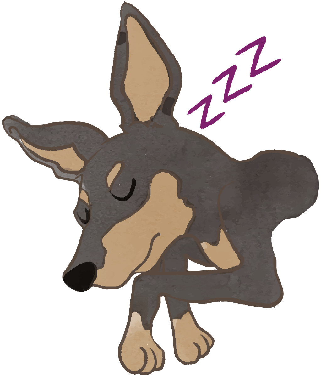 ピンシャー(寝顔)かわいい犬の無料イラスト70615に写真・文字を入れる