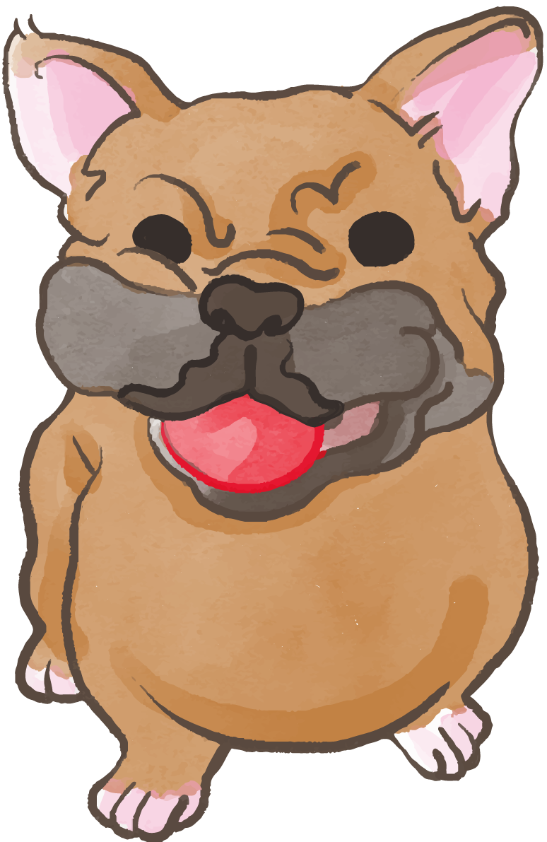 フレンチブルドック(ボールをくわえた)かわいい犬の無料イラスト70619に写真・文字を入れる
