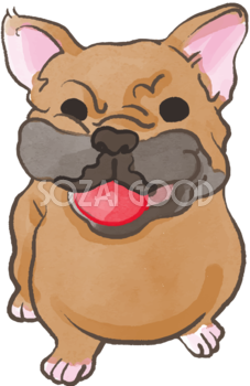 フレンチブルドック(ボールをくわえた)かわいい犬の無料イラスト70619