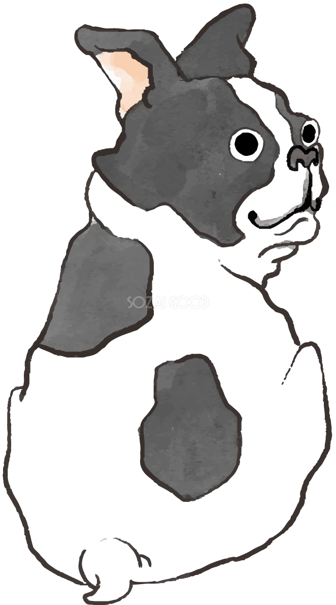 フレンチブルドック(後ろ姿)かわいい犬の無料イラスト70623
