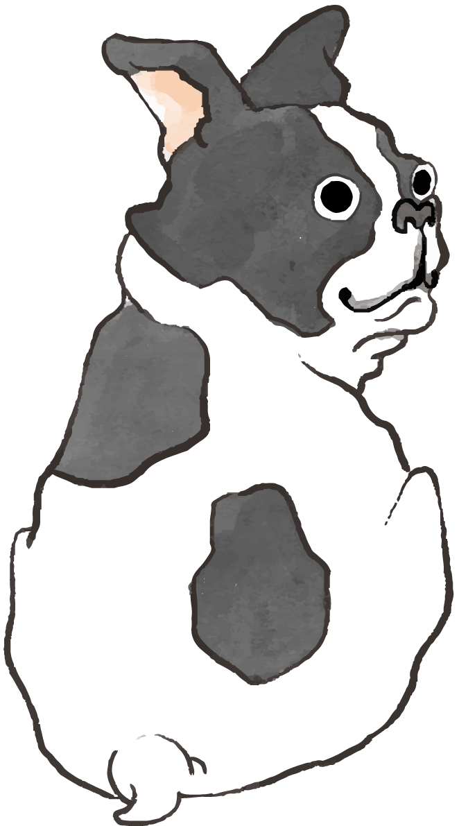 フレンチブルドック(後ろ姿)かわいい犬の無料イラスト70623に写真・文字を入れる