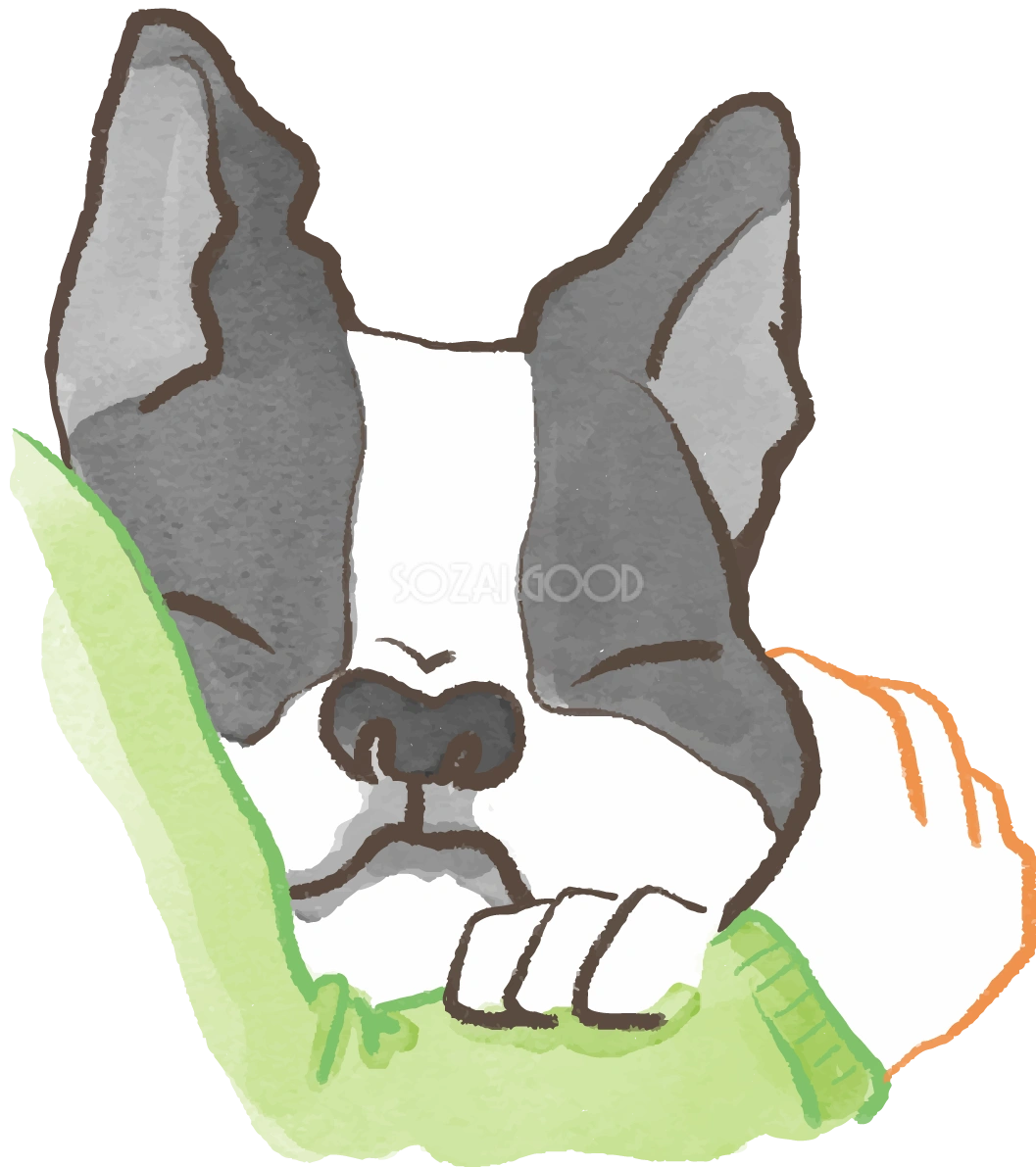 フレンチブルドック(抱っこされた)かわいい犬の無料イラスト70635