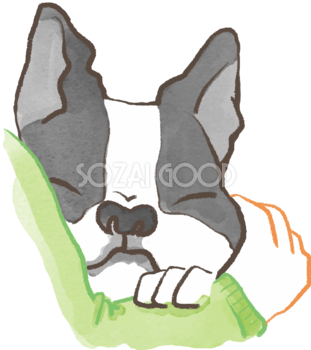 フレンチブルドック(抱っこされた)かわいい犬の無料イラスト70635