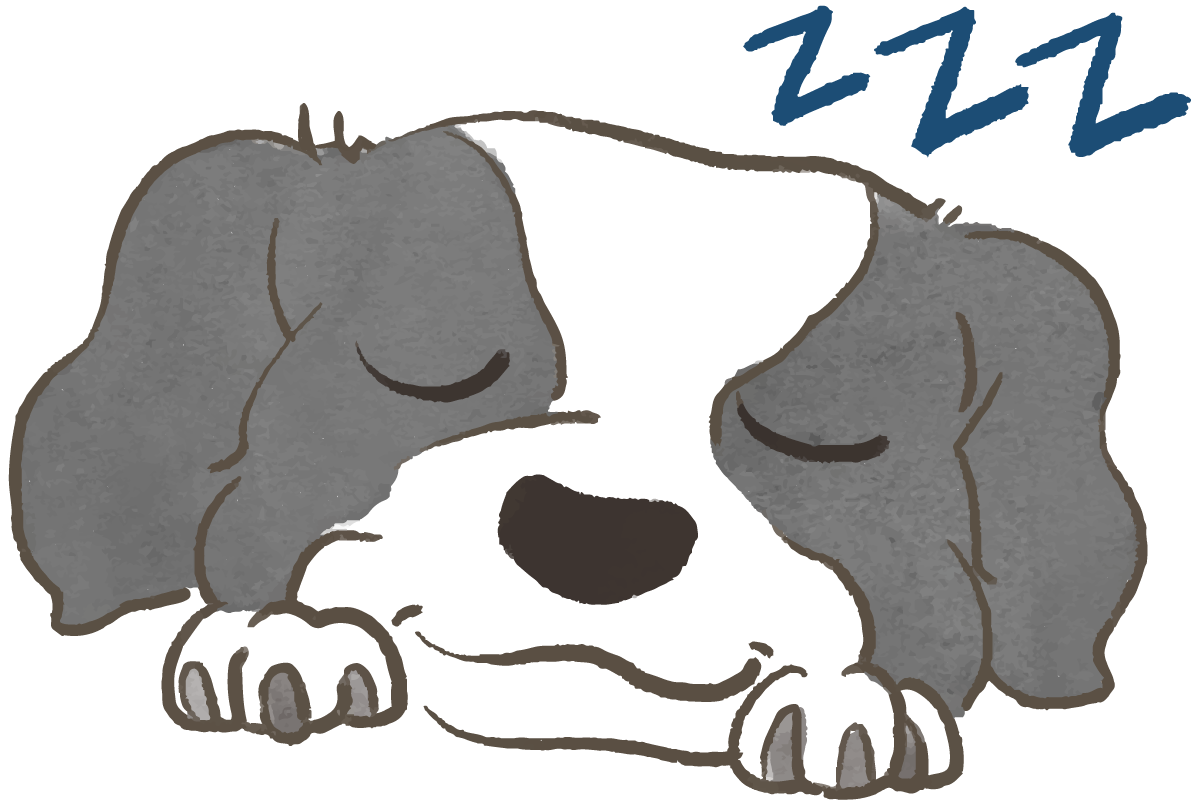 ボーダーコリー(寝顔)かわいい犬の無料イラスト70643に写真・文字を入れる