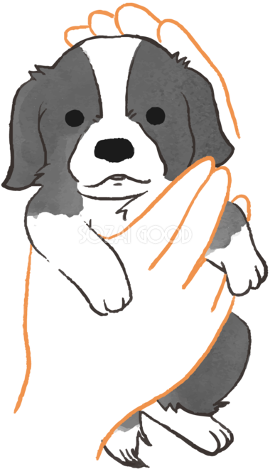 ボーダーコリー子犬 抱っこされた かわいい犬の無料イラスト 素材good