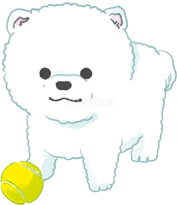 ポメラニアン子犬 ボールで遊ぶ かわいい犬の無料イラスト70663 素材good