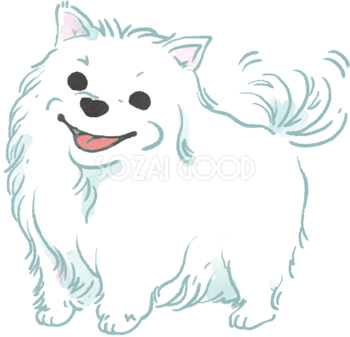 ポメラニアン白(尻尾を振る)かわいい犬の無料イラスト70671