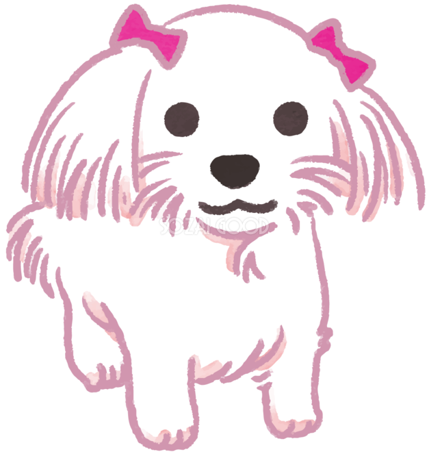 マルチーズ ピンクリボン かわいい犬の無料イラスト 素材good